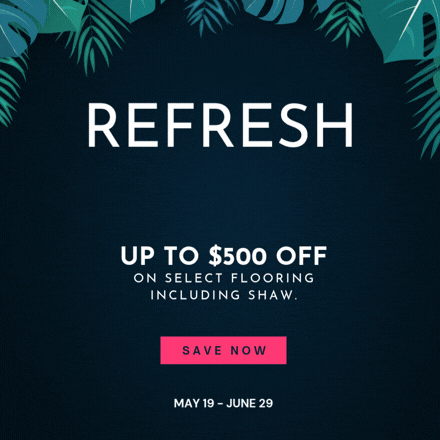 Velocity Summer Refresh 500 2026